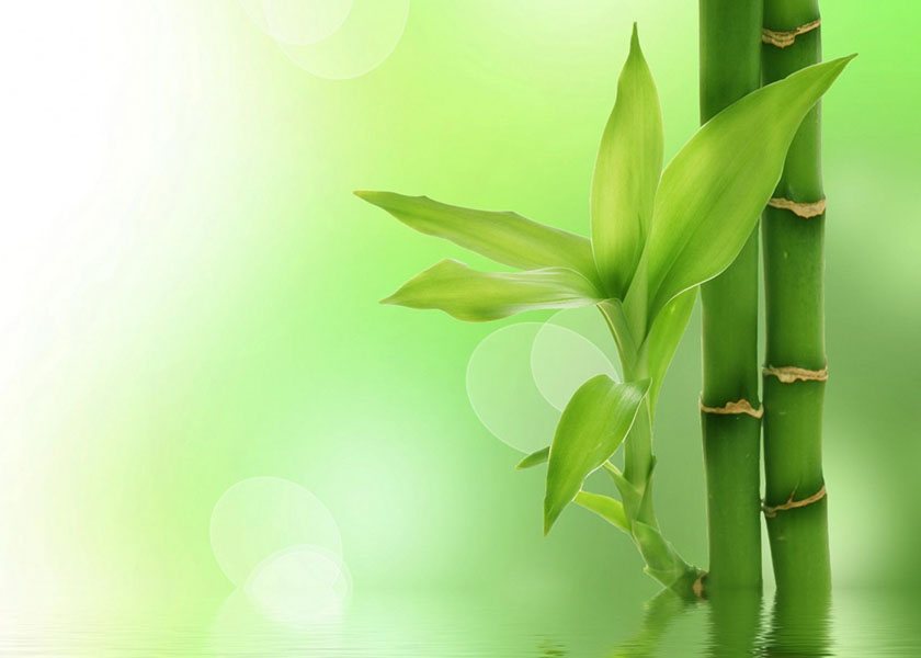 Image for article “ความนับถือ” กับ “ความกรุณา”