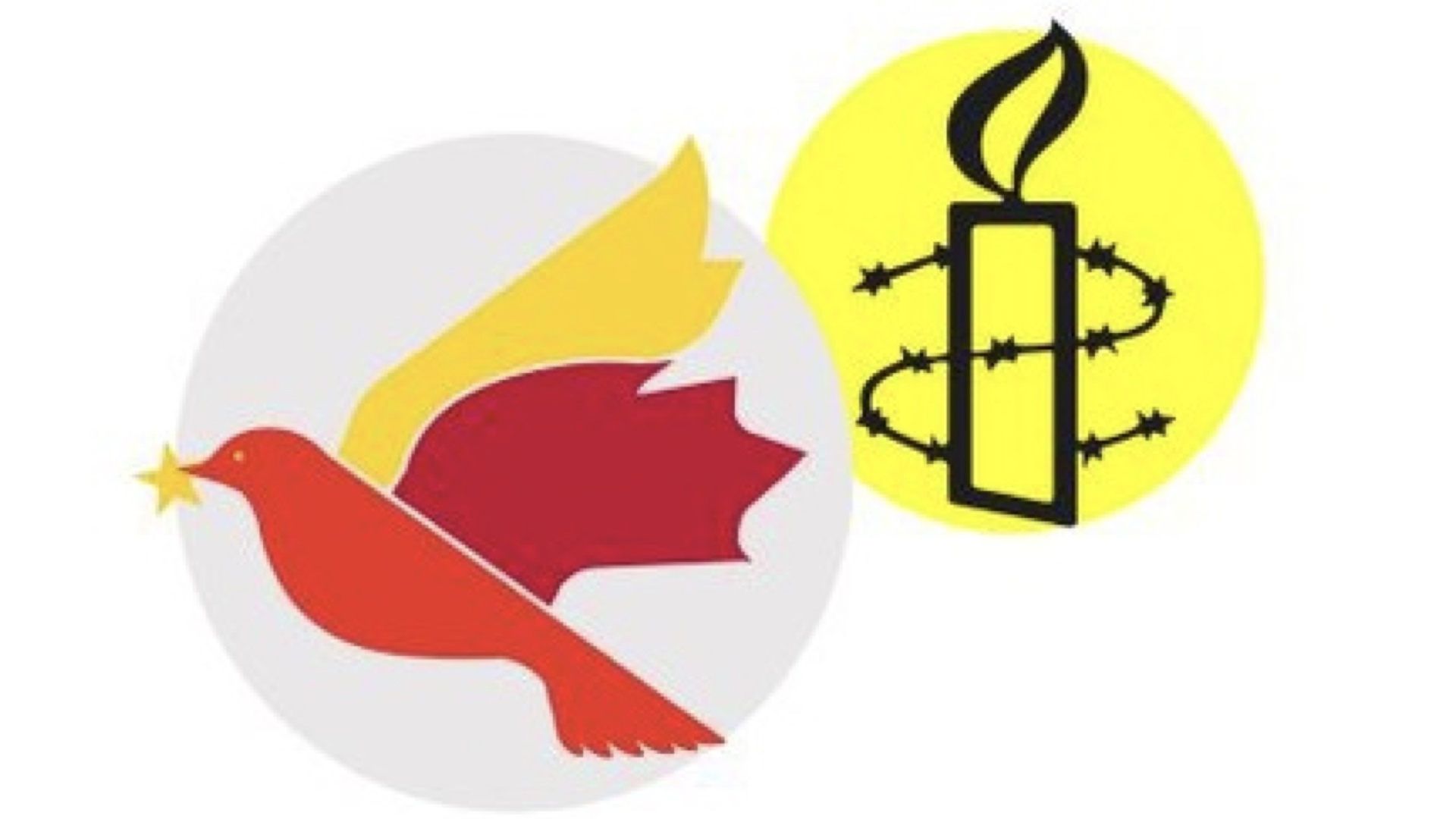 Image for article ​รายงานจากแอมเนสตี้ อินเตอร์เนชั่นแนล แคนาดา: พรรคคอมมิวนิสต์จีนก่อกวนผู้ฝึกฝ่าหลุนกงในต่างประเทศอย่างต่อเนื่อง